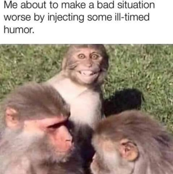 Meet your Posher, Spring - Picture 1 of 1